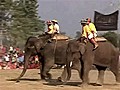 Campeonato de Pólo de Elefante