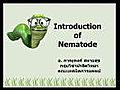 Introduction of nematode ตอนที่ 1