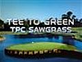 Tee to Green: TPC Sawgrass - Hole 6