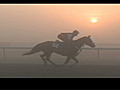 World’s richest horse race
