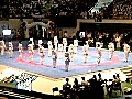 제6회 KOREA OPEN 국제 태권도 대회 (연합동작시범)