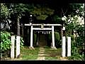 【神社】大宮・土呂浅間神社（埼玉）