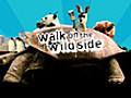 Walk on the Wild Side: Series 2: Episode 2