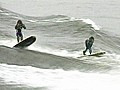 Waterskiing Monkeys