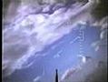 NEW SECRET WEAPON  AL QAIDA   KAMIKAZE BIRDS    ALLAH AKBAR
