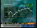WellPoint’s Profit Woes