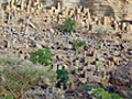 Plant y Byd: Casglu dŵr ym Mali