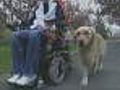 Dog Helping Teen Heal From Paralyzing Neck Injury