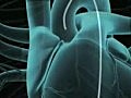 Heart Animation: Coronary Angiography (Cardiac Cat