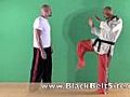 Karate Combat Techniques