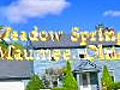 713 Meadow Springs Ct. Maumee,  Ohio 43537