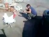 Guy Fights Turkey
