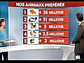 Expliquez-nous : le coût des animaux de compagnie