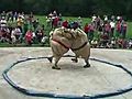 This Suburban Life: Political Sumo