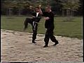 黒竜忍術 Kick and Backfist Kuroi Ryu Wushu-Ninjutsu 黒竜忍術 Sensei Arie Van Den Akker