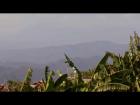 Anthony Bourdain in Laos