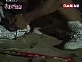 MBC.我们结婚了.第21期.水上特辑(下).080803.金贤重.皇甫.Andy.索菲等 &amp;lt;C&amp;gt;