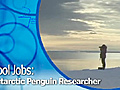 Cool Jobs: Antarctic Penguin Researcher