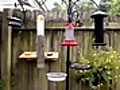 Bird Feeder Cam - Kansas 07/31/10 04:18PM