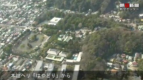 鶴岡八幡宮のご神木、移植作業始まる（続）