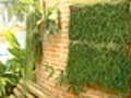 Aprenda a faezr um jardim vertical em casa