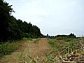 幕張ローカルライド