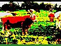 Demon Cows Mooing