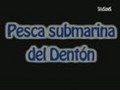 pesca del denton