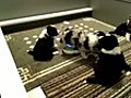 Puppies making sweet music!