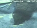 Video: Gulf oil leak at the source