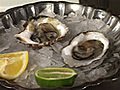 How to Shuck Oysters