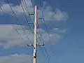 Stock Video Static View of High Voltage Electric Wires and Pole Royalty-Free HD Footage