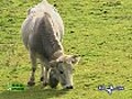 Il Parco Nazionale dell’Appennino Lucano-Val D&#039;Agri