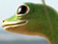 THE COMPLETE HISTORY OF THE GEICO GECKO