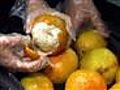 Raw Video: Man Arrested with Cocaine in Oranges