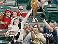 Mom makes amazing foul ball catch