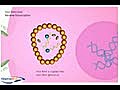 Viral Entry And Reverse Transcription