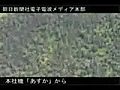 〈北極異変〉キナイ半島虫害