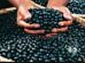 Seen At 11: The Truth About Acai