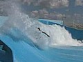 Jonathan Root Flowriding Grand Cayman