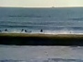 wave info 7:52 Ichinomiya Japan iori.tv #surfin