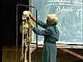 Integrative Biology 131 - Lecture 02: Skeletal System