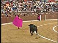 Primeros toros de la cuarta novillada de la Feria de Murcia 2010