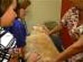 Dog Blood Center Needs Help To Stay Open