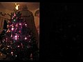 Christmas Tree Lapse