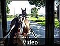 05 Video of Jeska driving buggy - Lancaster, United States
