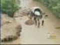 Coloradan From Pakistan Worried About Flood Aid