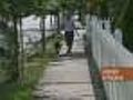 Quincy Runner Chased Away Her Attacker