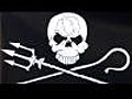 Sea Shepherd : des pirates qui protègent les animaux marins !