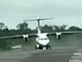 Passengers escape injury after dog runs across runway